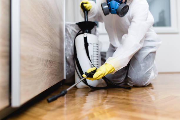 Best Pest Control Near Me in Cleveland Heights, OH