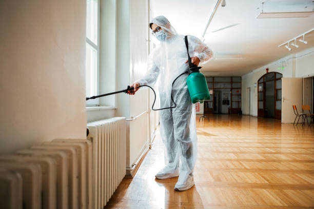 Best Flea Control Services  in Cleveland Heights, OH