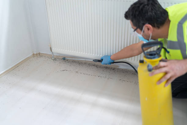 Best Best Pest Control Companies  in Cleveland Heights, OH
