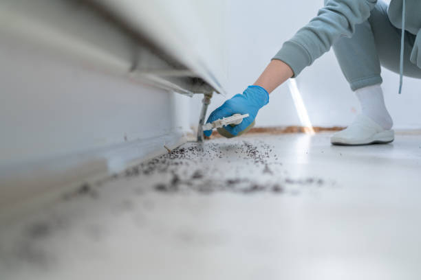 Best Termite Control Services  in Cleveland Heights, OH
